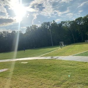 Meet your Posher, Marlin